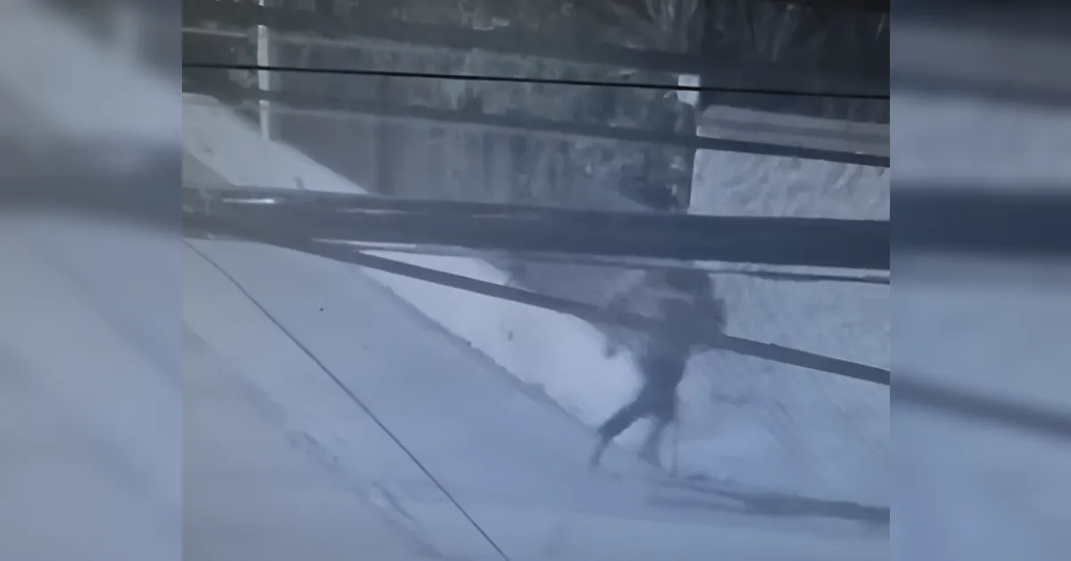 Liberan a comerciante dominicano retenido en Santiago