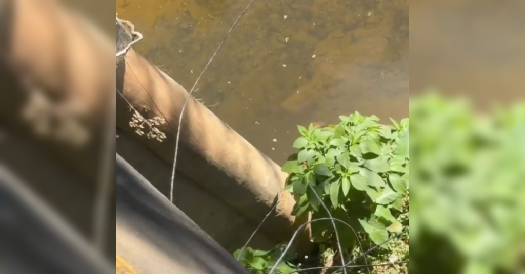 Hallan individuo sin aliento en el río La Cuaba, Monte Plata